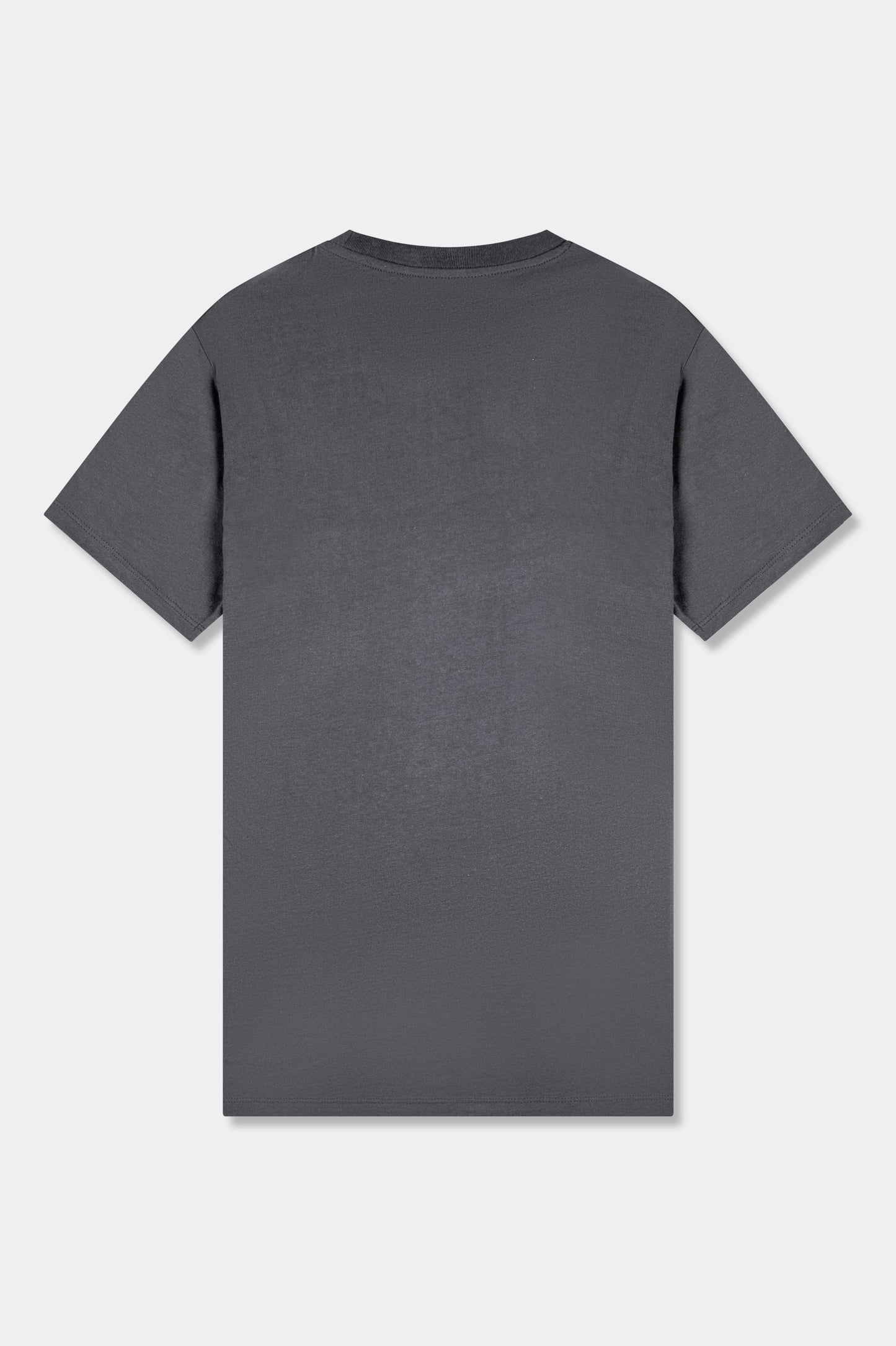 Unisex cotton t-shirt in grey with a comfortable fit, featuring PLUS logo perfect for casual wear
