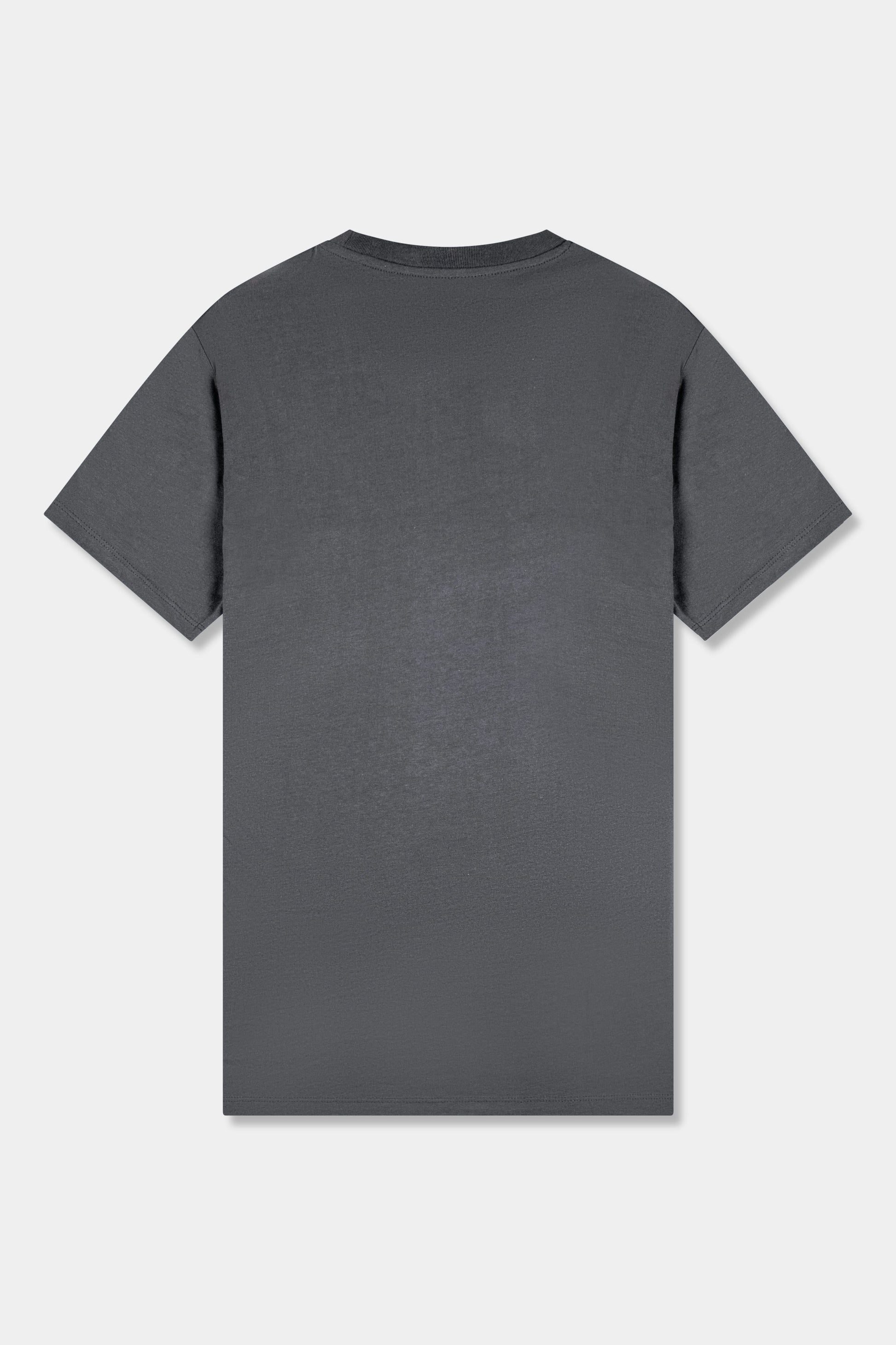 Unisex cotton t-shirt in grey with a comfortable fit, featuring PLUS logo perfect for casual wear